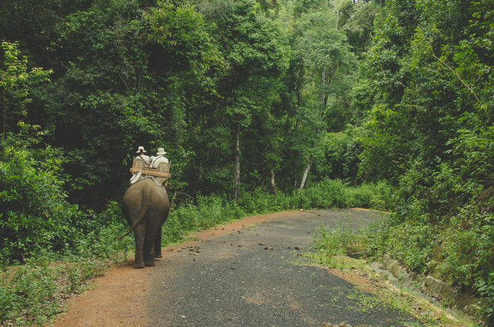 couple riding a elephant in boloven in Laos taken by Milie Del