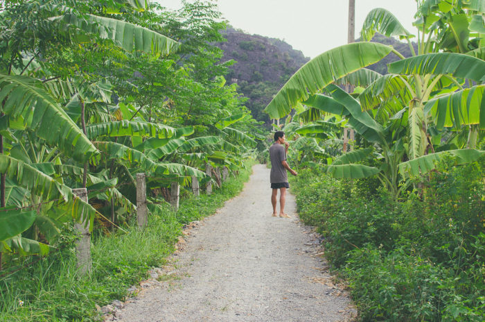 men walking in the banana trees at sundawn in ninh binh paradise Vietnam taken by Milie Del