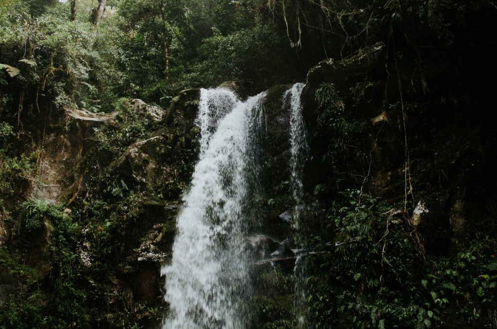 Waterfall jungle Boquete Panama Milie Del travel photographer