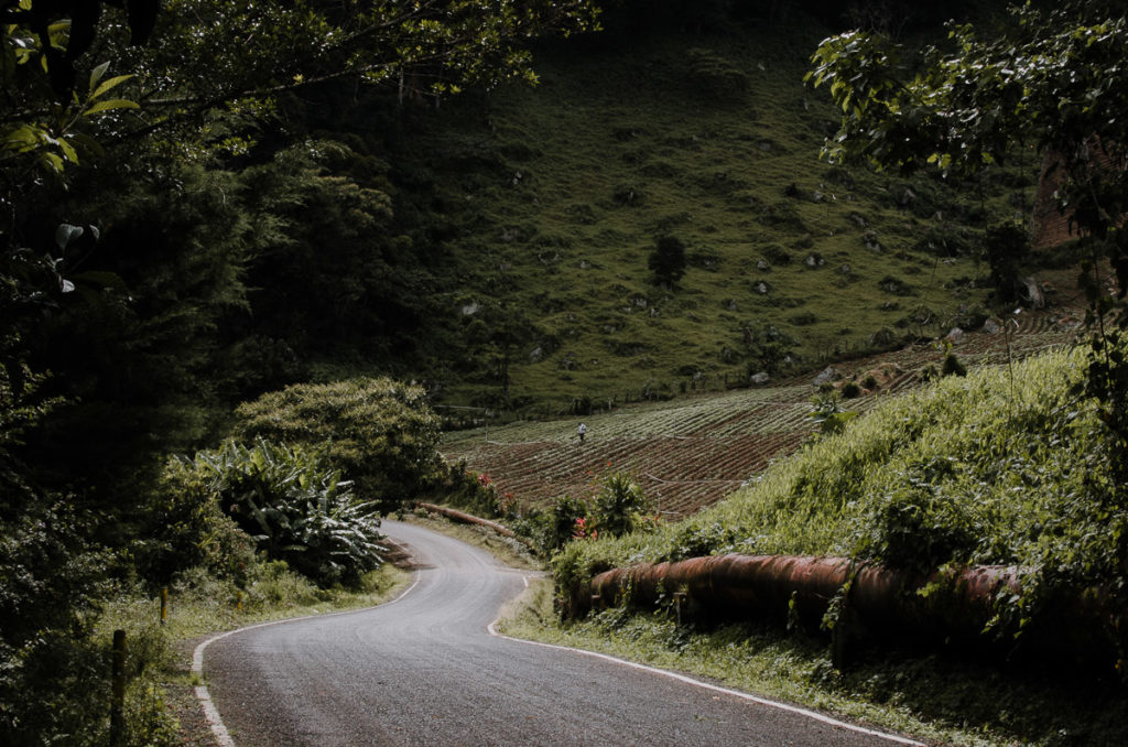 Fields road Boquete Panama Milie Del travel photographer
