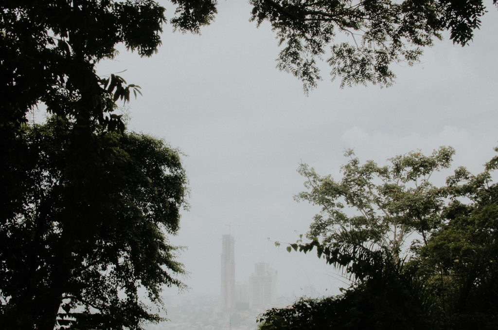 Panama city skyline through tropical forest Camino Cruces National Park