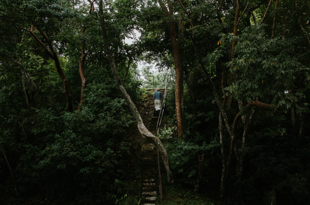 Man climbing stairs jungle Camino Cruces National Park