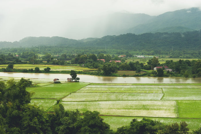 bambou hut rice field and rain coming near Vang vieng in Laos taken by Milie Del