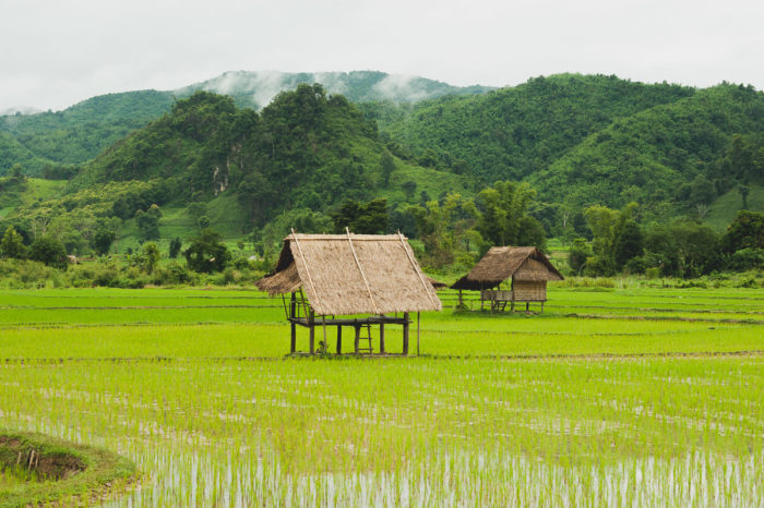 bambou hut near Vang vieng in Laos taken by Milie Del