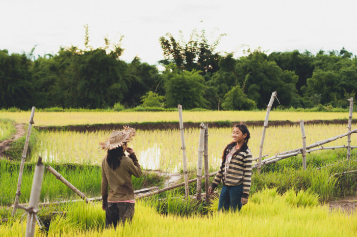 portrait of Girls talking too each other in a rice field in Laos taken by Milie Del