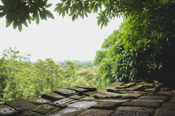 View over the jungle in Champassak in Laos taken by Milie Del