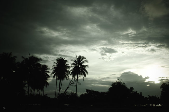 stormy sunset on palm trees on Don Det islandin Laos taken by Milie Del