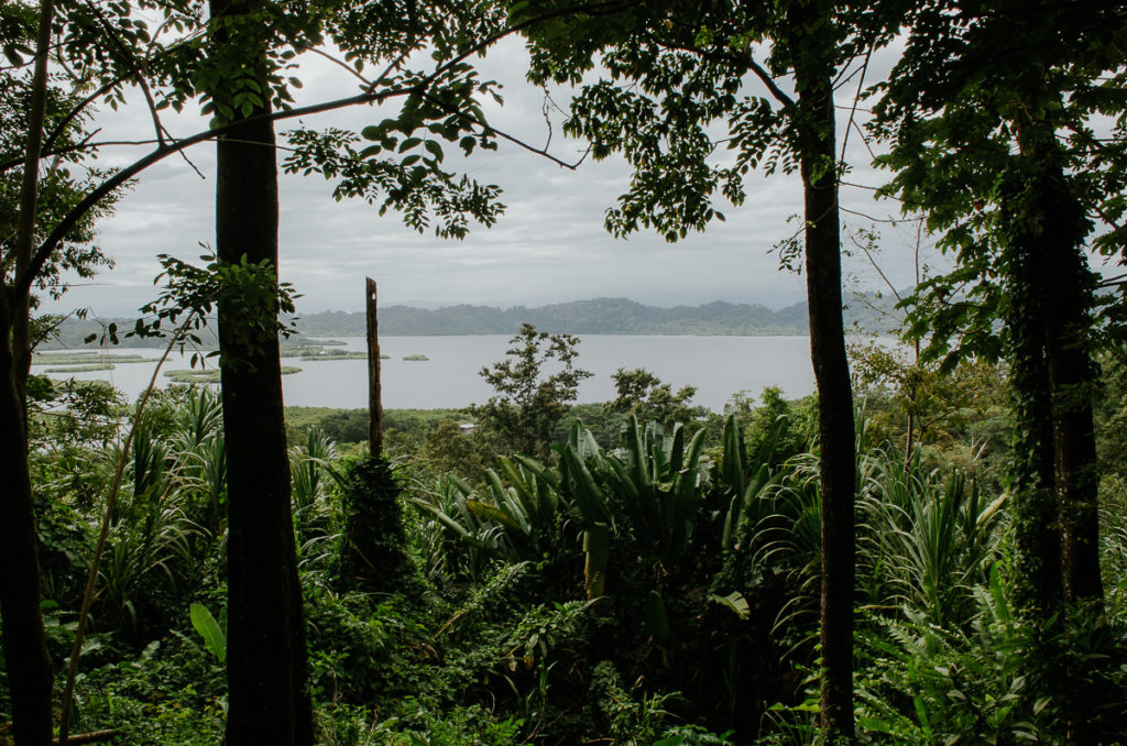 tropical landscape laguna mountains panama