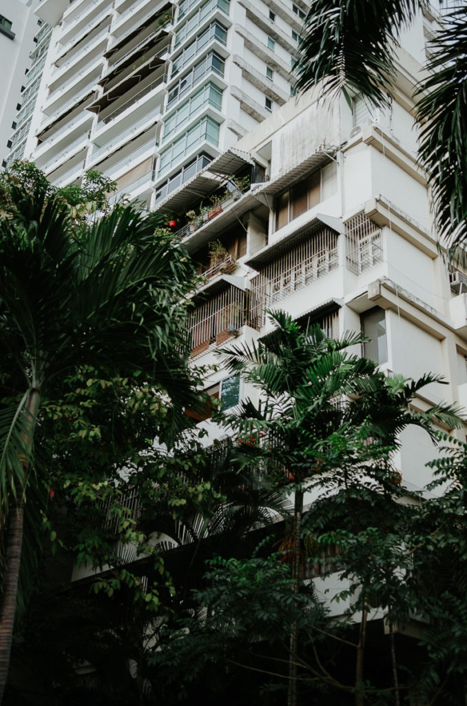 panama city building leaves park omar