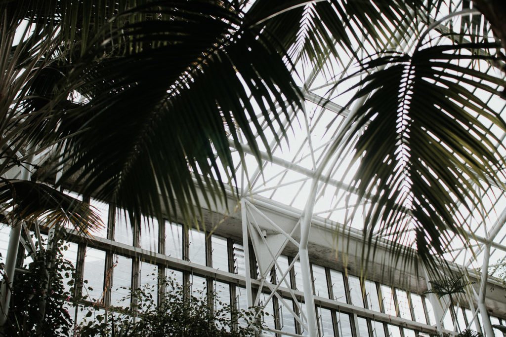 barbican center tropical leaves greenhouse london