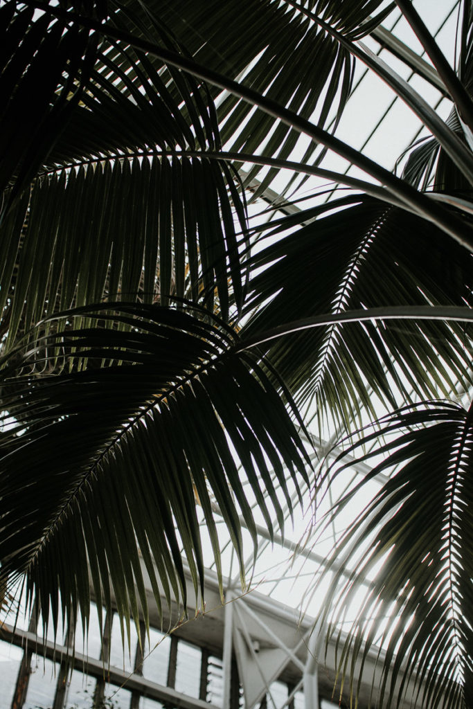 barbican center tropical leaves greenhouse london
