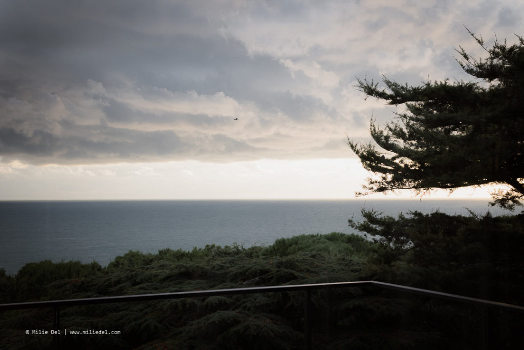 Landscape photography Reportage Pierre Soulages house for Monopol Magazin by Milie Del Photographer