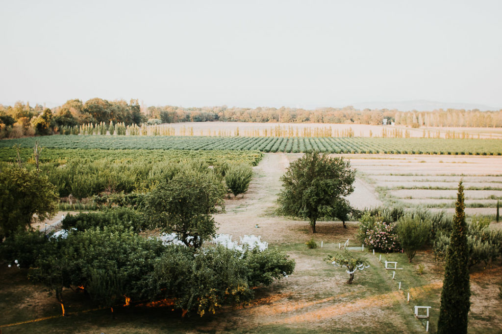 Domaine Lamartine Wedding reception under the fig trees boho 
