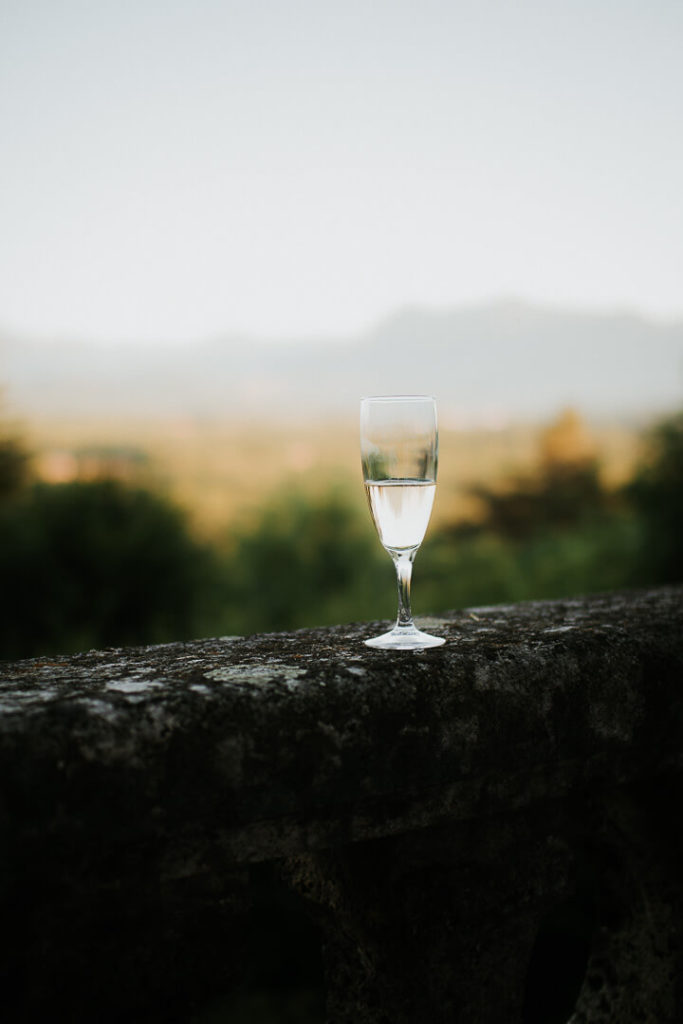 Glass of Champagne and Vercors View Milie Del