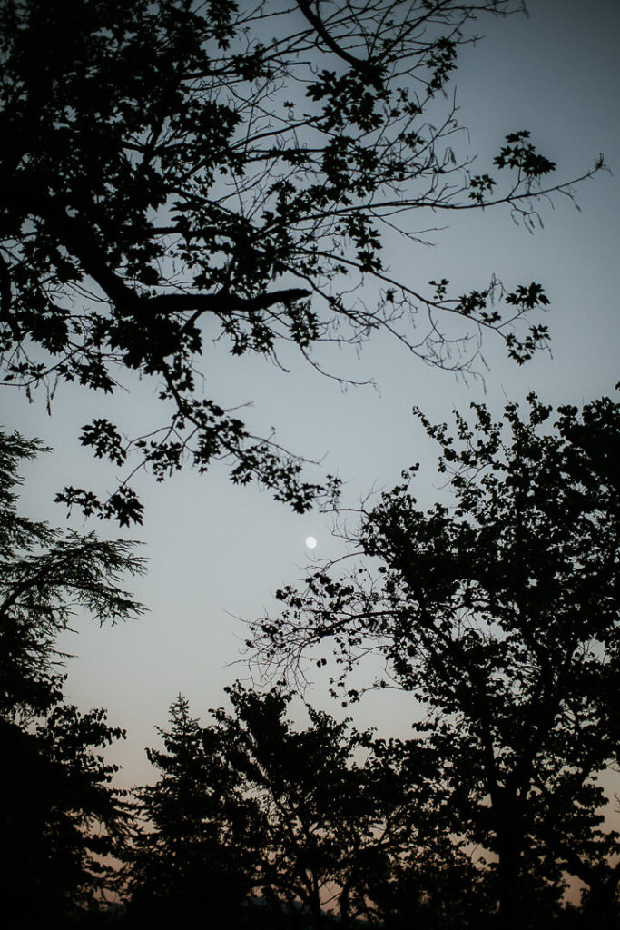 Dancing night wedding isere Milie Del