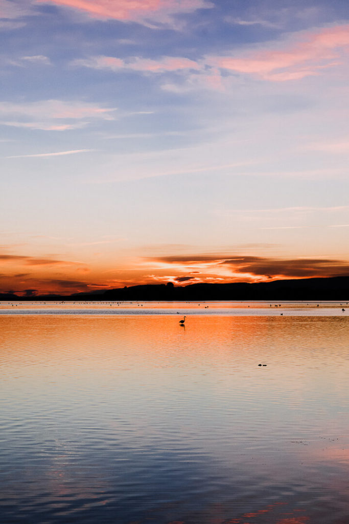 Sunset Wetlands ponds birds migration winter