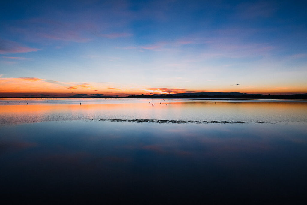 Winter sunset Wetlands Flamingos Montpellier blue