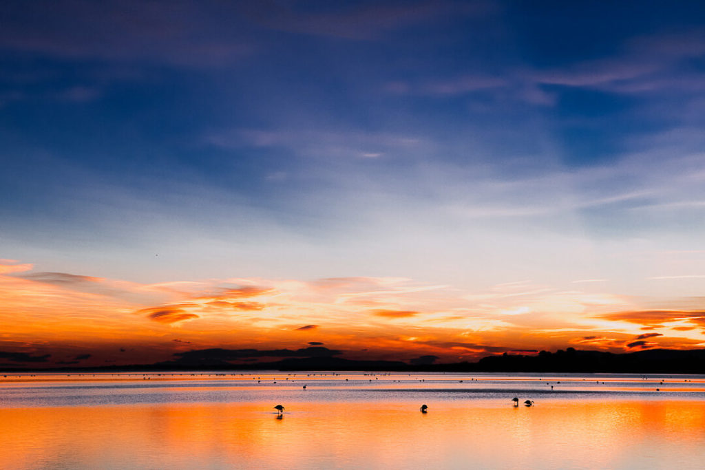 Winter sunset Wetlands Flamingos Montpellier Occitanie 