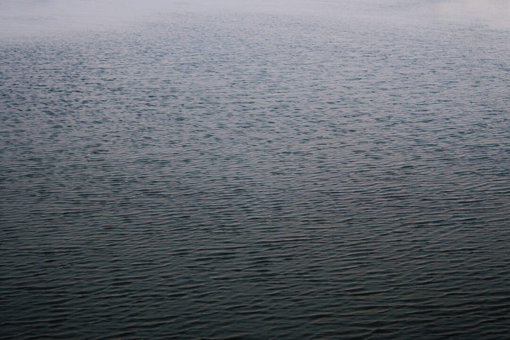 water of in wetlands region near Montpellier