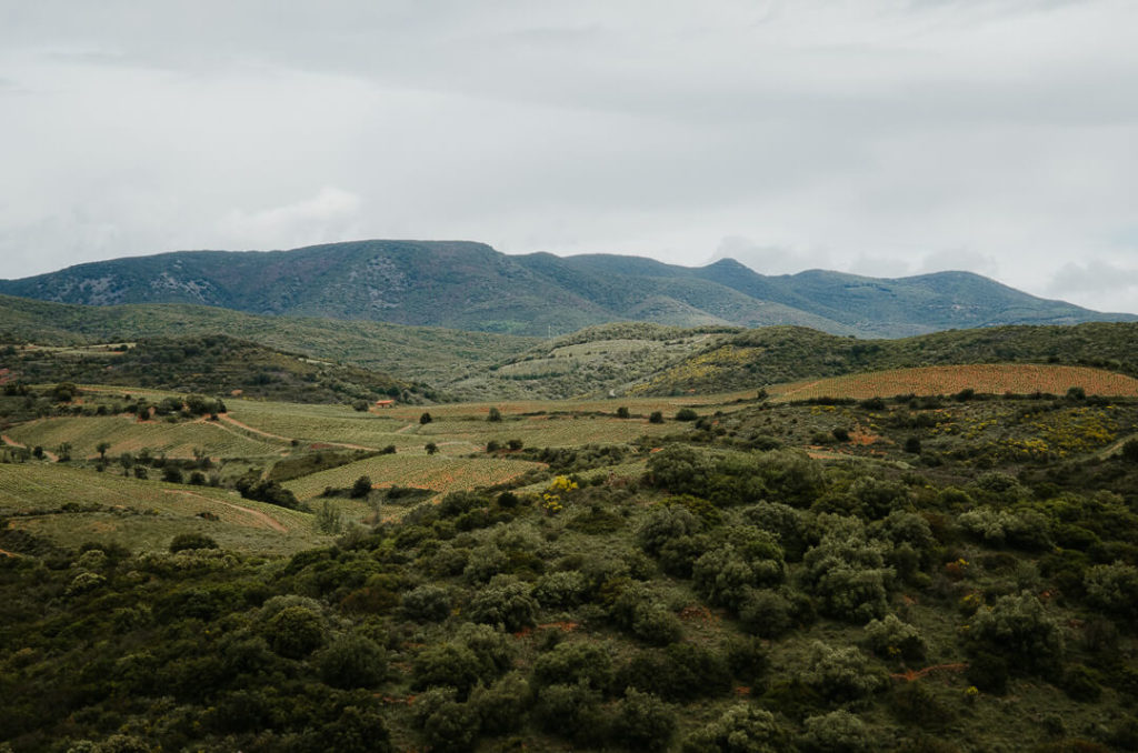 Paysage sur le Parc du haut languedoc and vignobles
