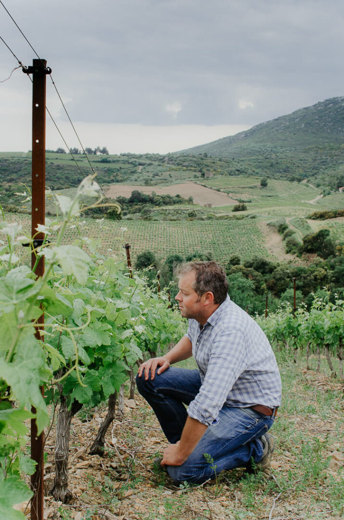 Tom Hills in his vineyard South of France