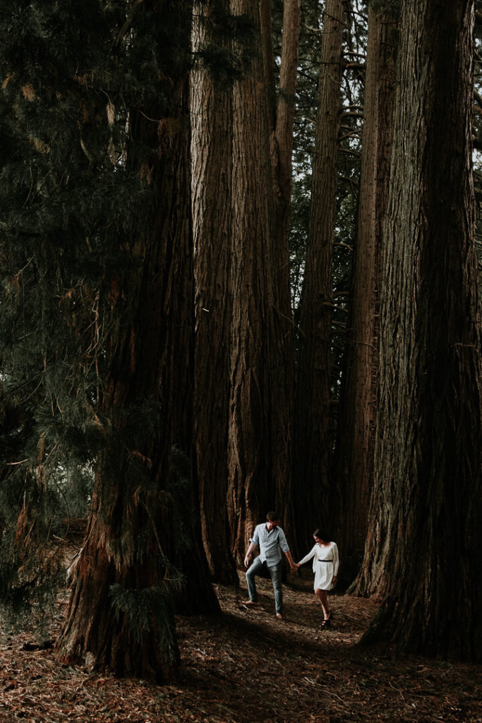 french australian couple in a sequoias forest milie del