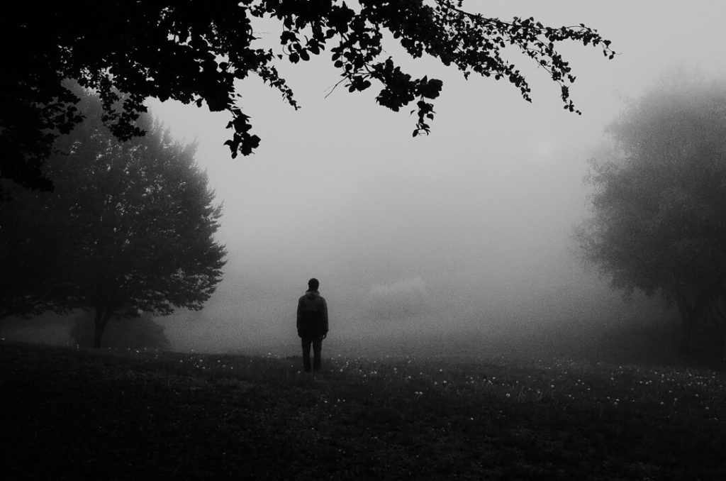 standing there stranger mists miliedel nature