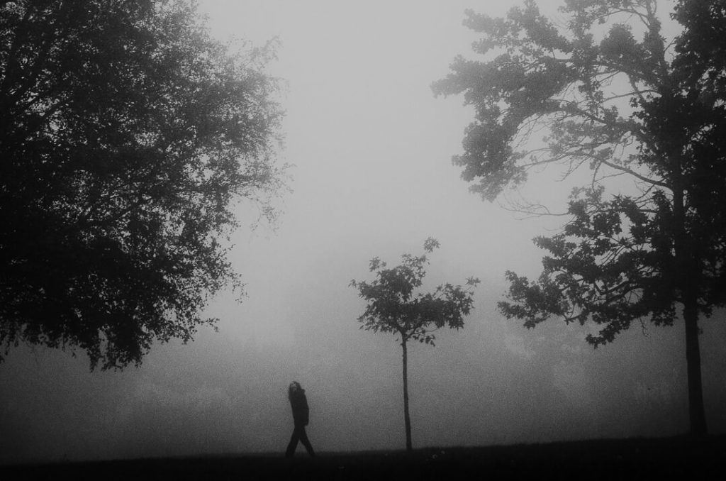 tuscany stranger mists miliedel nature
