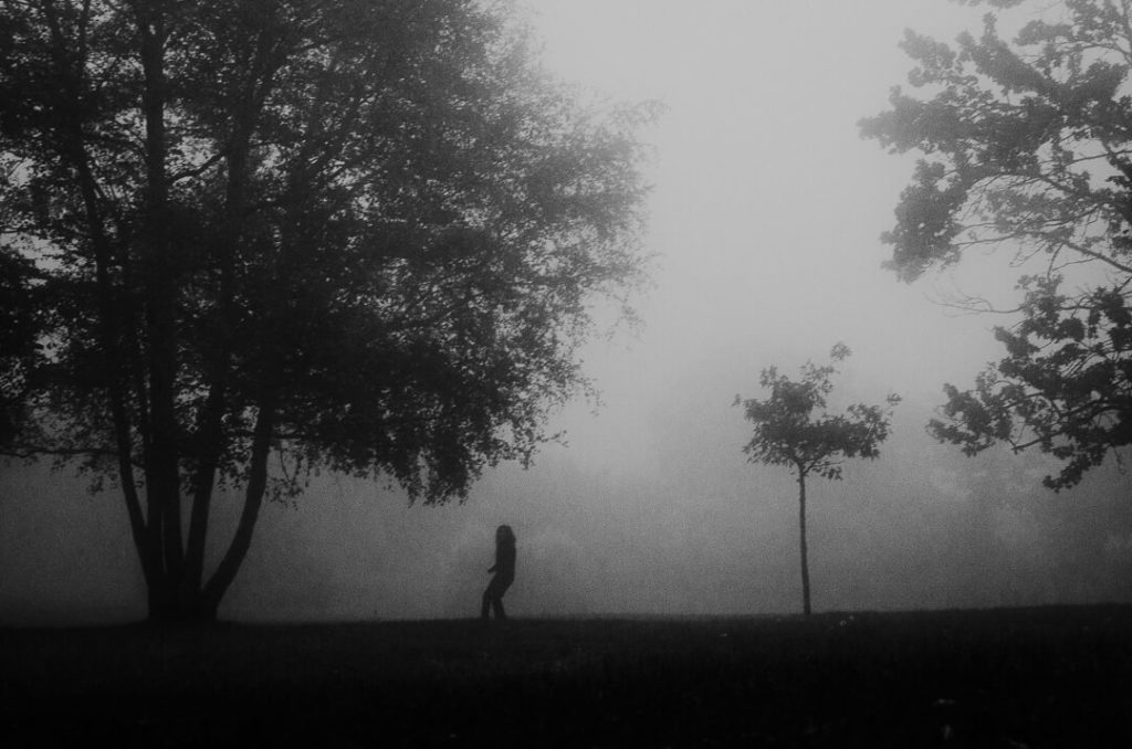 silhouette trees italy stranger mists