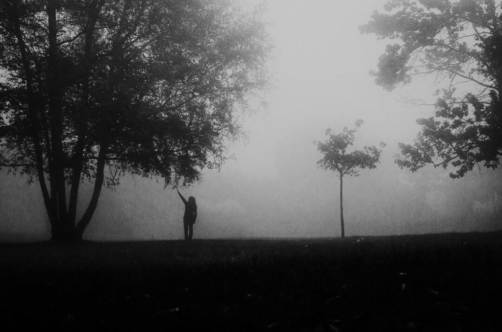 touching leaves tuscany stranger mists