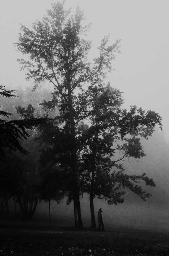 protective tree tuscany stranger mists