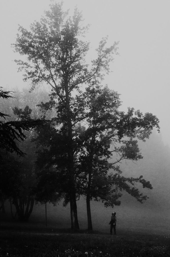 man and tree tuscany stranger mists