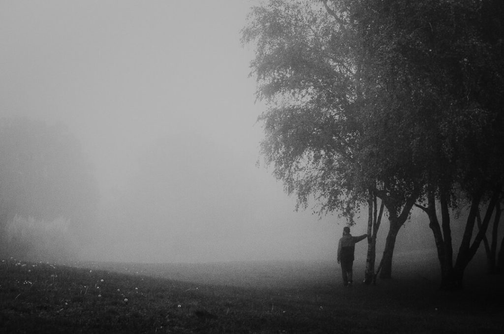 standing on the edge of the forest poesy