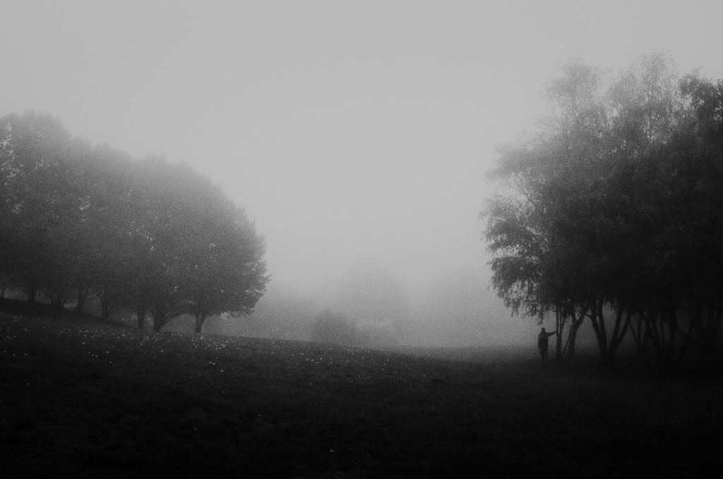 field man standing on the edge of the forest stranger mists miliedel nature