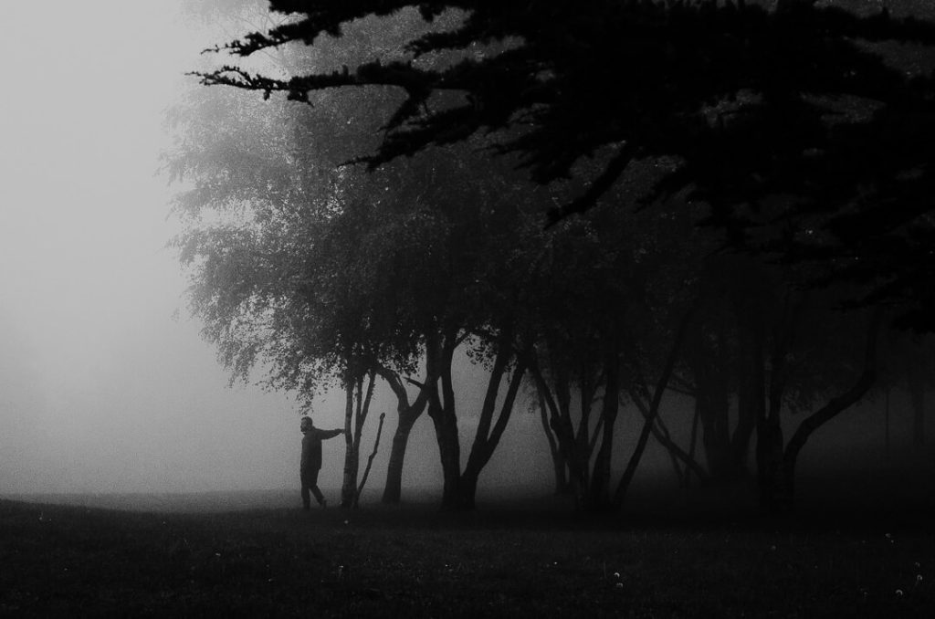 tuscany stranger mists out of the forest