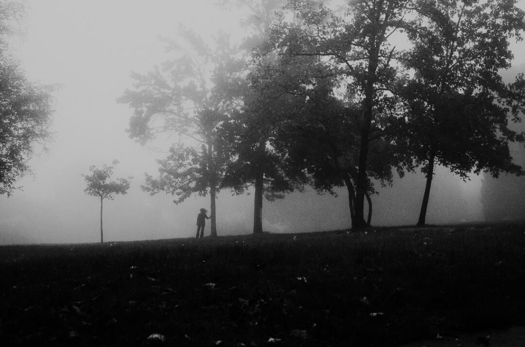 stranger mists miliedel nature