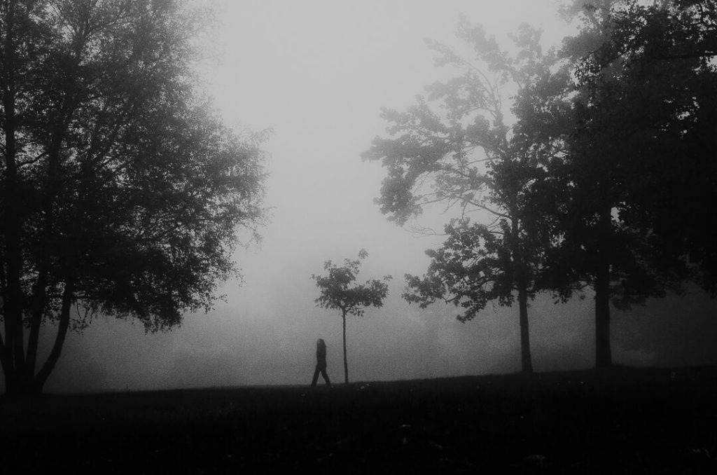 tuscany stranger mists miliedel nature black and white