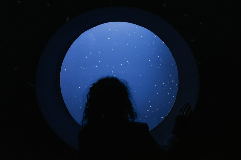 milie del gazing at meduses at monterey bay aquarium california