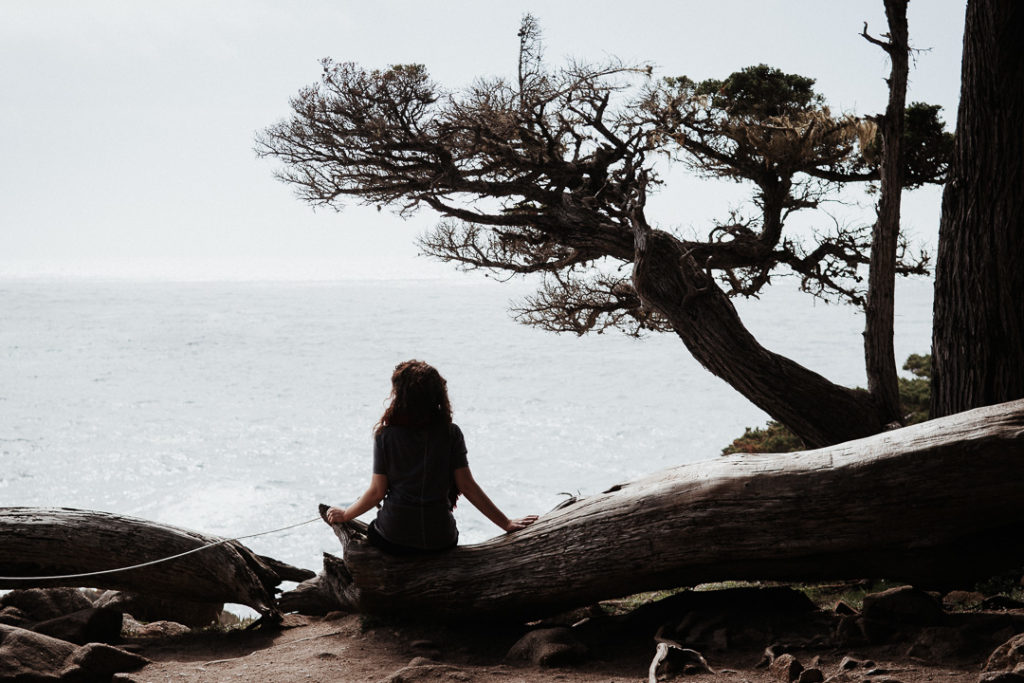 miliedel watching sunset california coastline