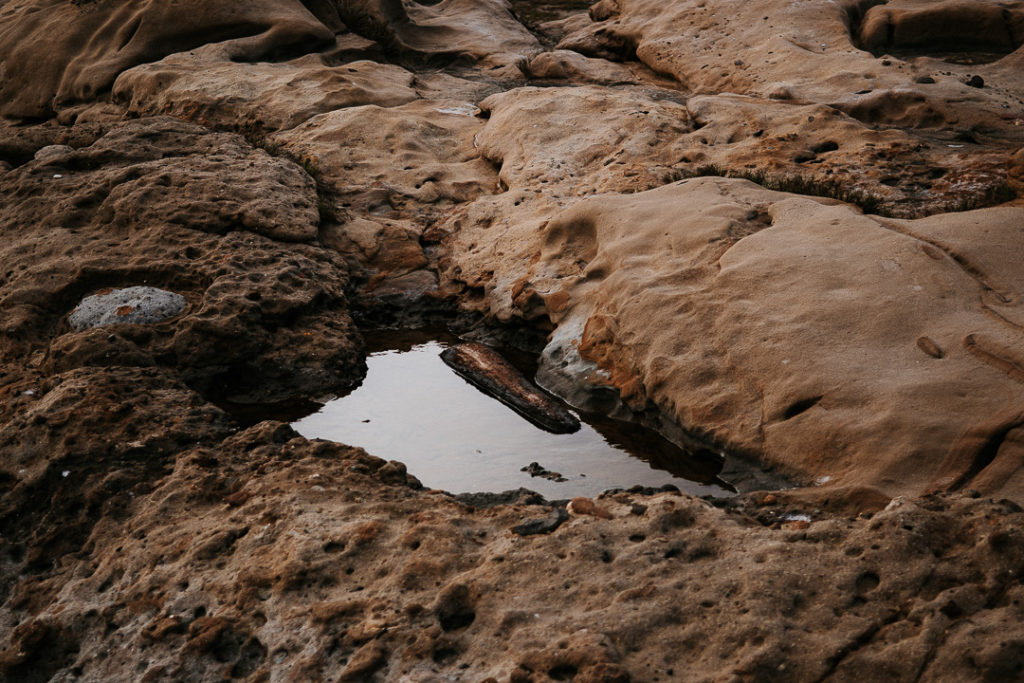 earth hues and water reflection monterey california