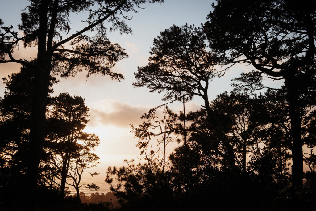 sunset on big sur trees california highway 1
