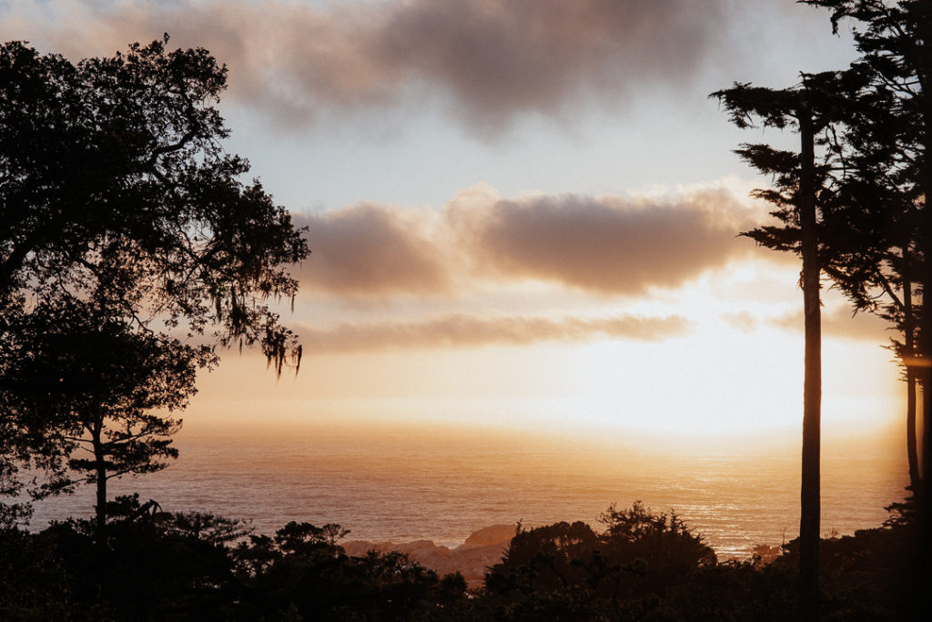 sunset on bigsur trees california coastline