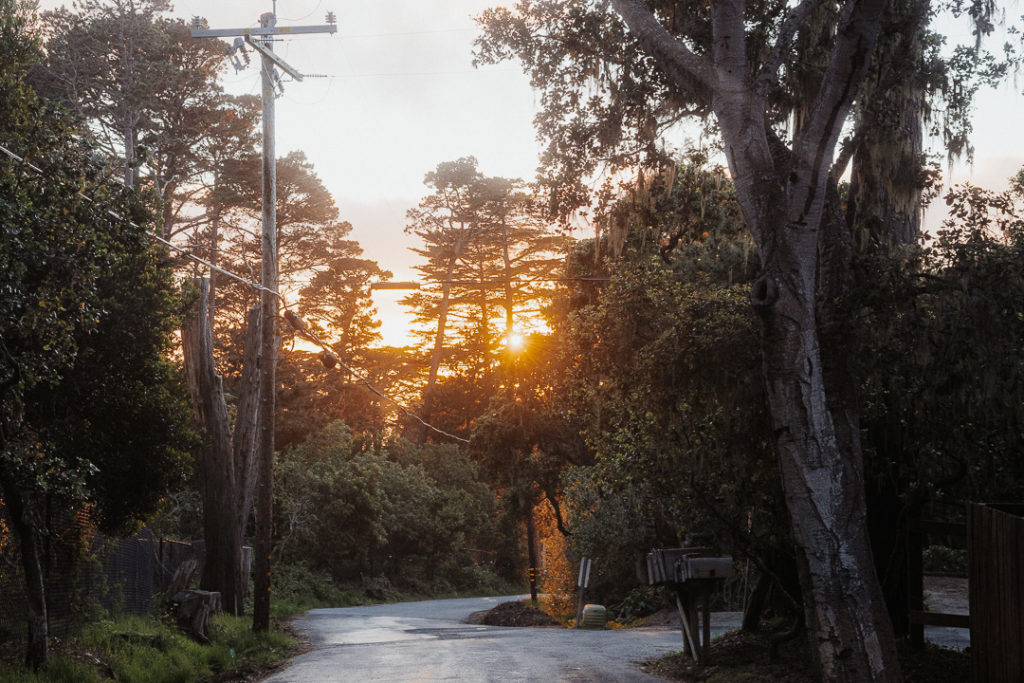 sunset on big sur trees california lost road