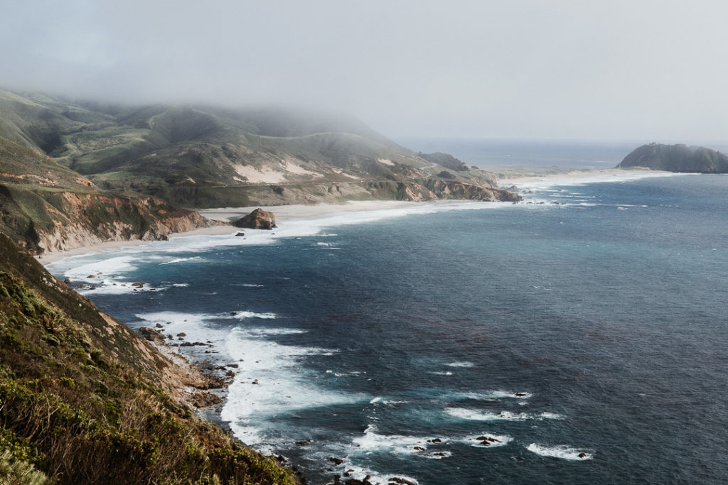 trees in Big Sur coastlines california