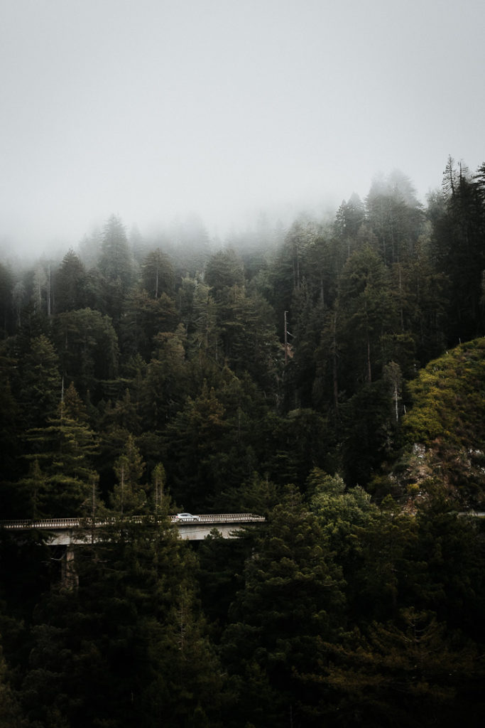 Bixby Creek Bridge mists Big Sur California