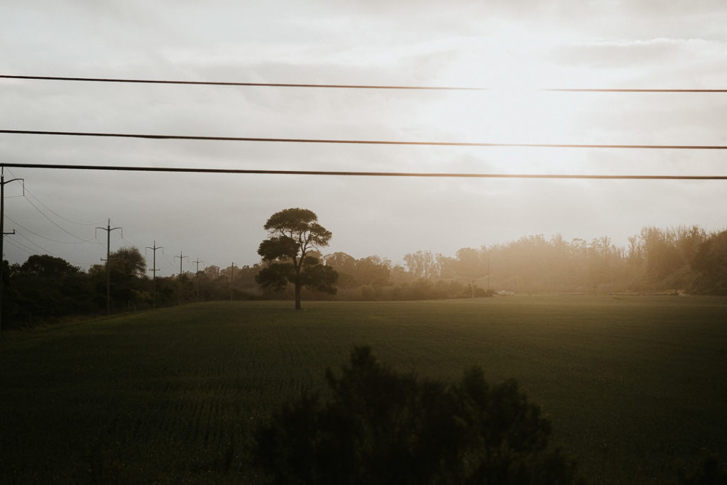 library california highway one miliedel travel photographer