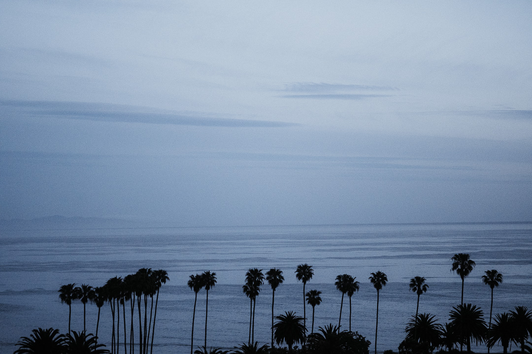 palm trees blue hour highway one miliedel travel photographer