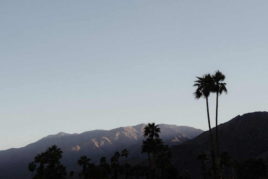 Sunset palm trees mountains palm spring california
