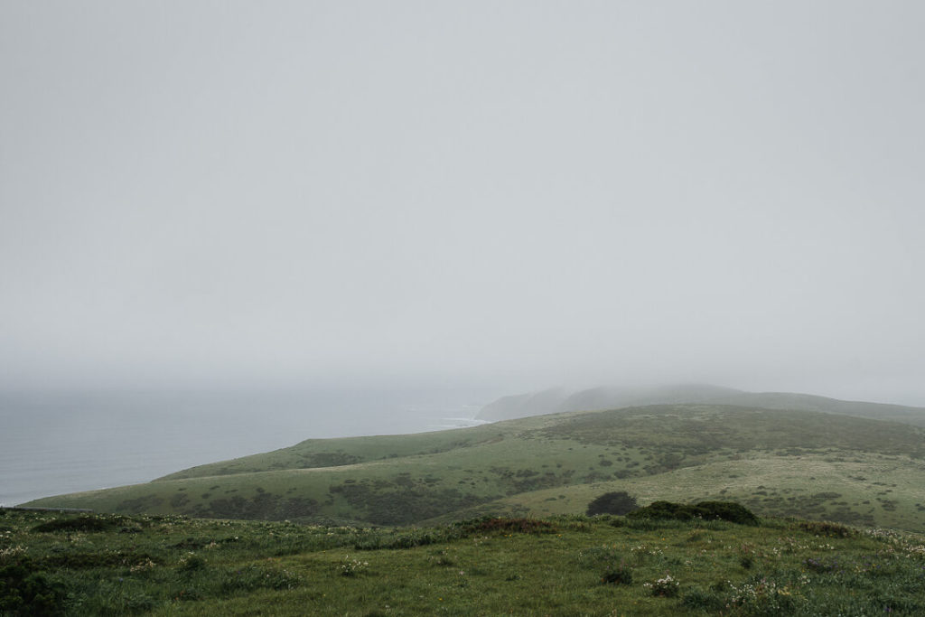 Cliffs and shores at Pierce Point Ranch Point Reyes National Seashore