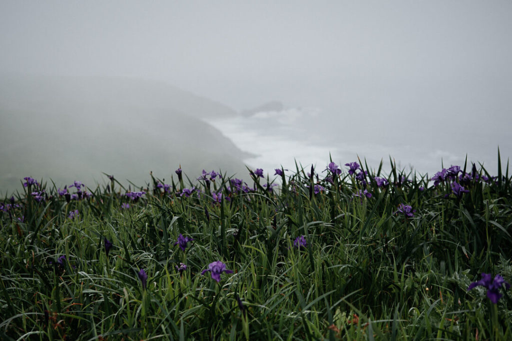 Old Village at Pierce Point Ranch Point Reyes National Seashore